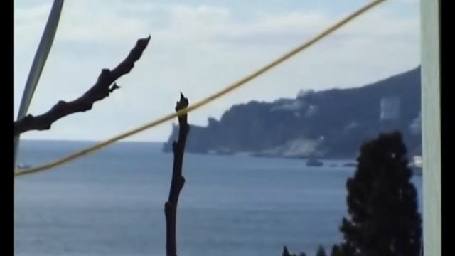 Все правильно сказал смотреть онлайн