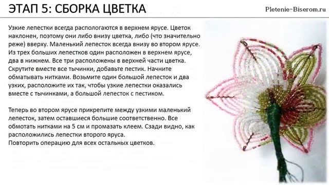 Gladiolus iz bisera mp4 смотреть онлайн