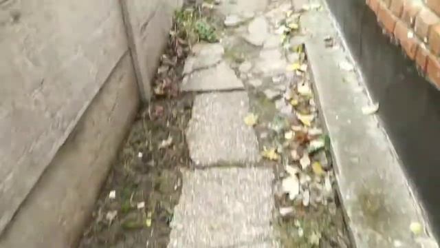 Навес на две машины 6×6 метров Бюджетный навес своими руками кровля металлопрофилем быстро дёшево.. смотреть онлайн