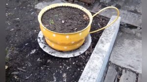 Готовим клумбы к покраске,и поделки из шин!