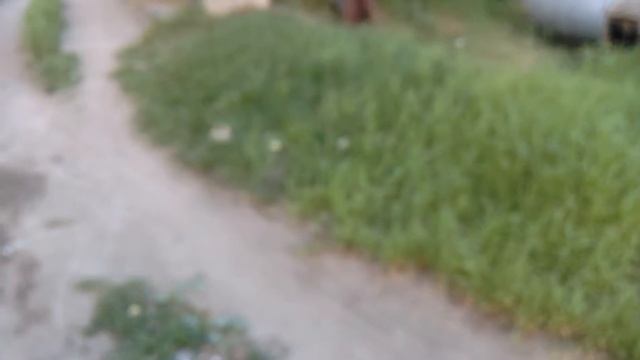 Балахна тест камеры zte смотреть онлайн