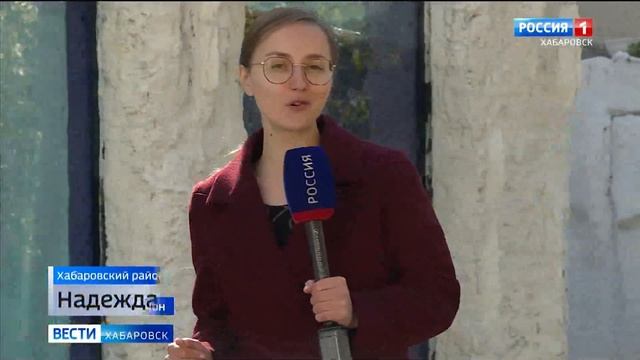 Нового обитателя зоосада «Приамурский», белого медведя по кличке Алмаз, показали посетителям смотреть онлайн