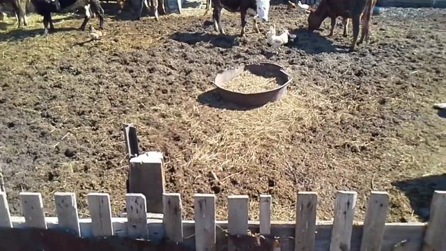 Загрязнение почв смотреть онлайн