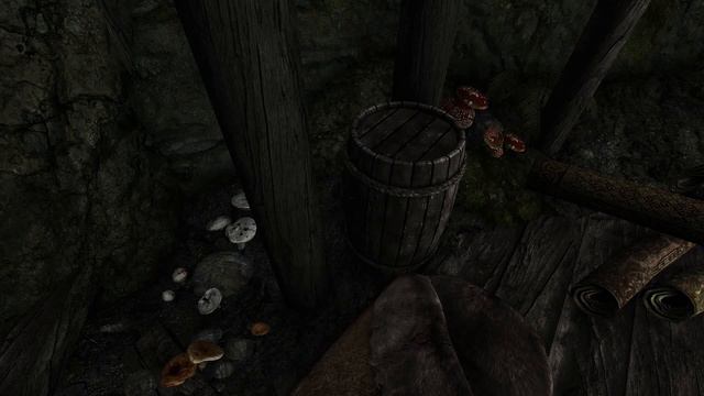 SkyrimSE Quaint Hideaway Housemod WIP смотреть онлайн