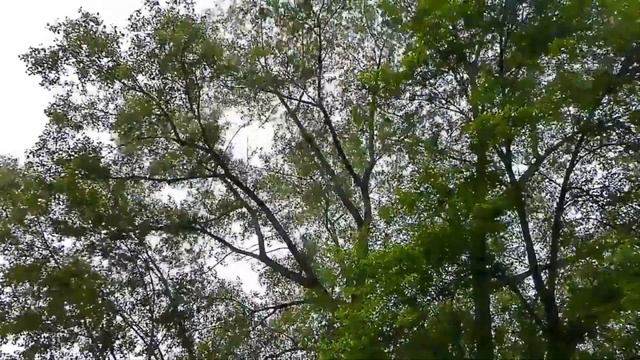 Ой,да не вечер Русская народная песня Исп Г Погорельская смотреть онлайн