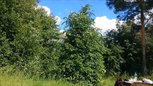 Остров Октября вело водный поход смотреть онлайн