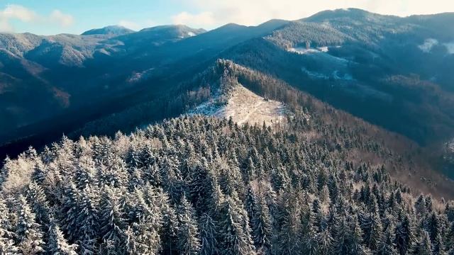 Christmas Carol : Piano Instrumental Music With Scriptures & Winter Scene ❄ CHRISTIAN piano смотреть онлайн