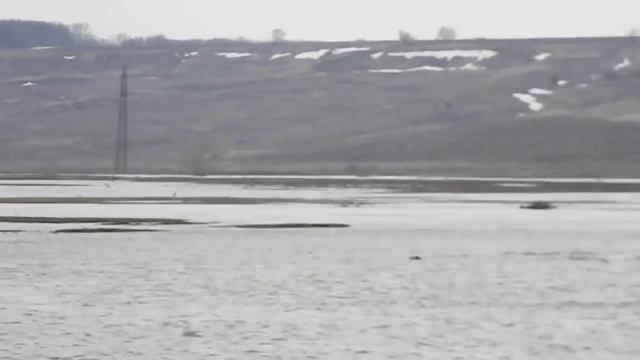 Flood Половодье апрель 2012г.m2t смотреть онлайн