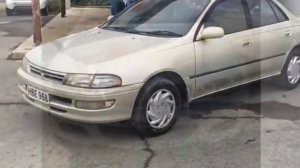 как защитить автомобиль от котов