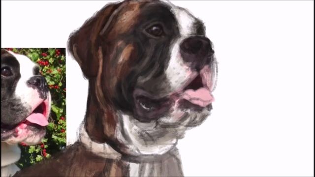 Как нарисовать собаку?/Немецкий боксёр Аарон и зима!/Deutsche Boxer Aaron смотреть онлайн