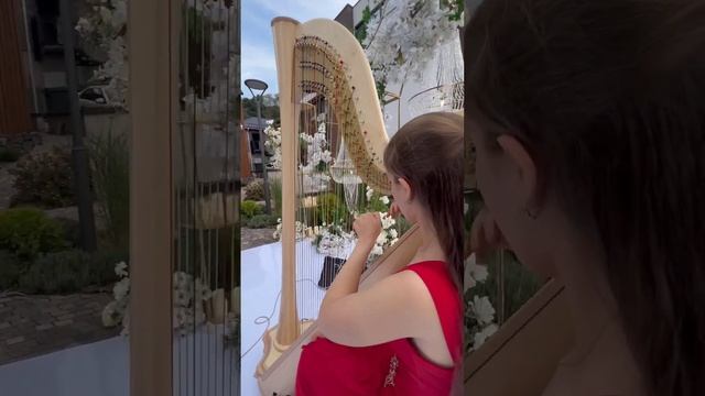 Дуэт арфы и скрипки( можно любой инструмент по желаю заказчика) По всем вопросам 87002741656 смотреть онлайн