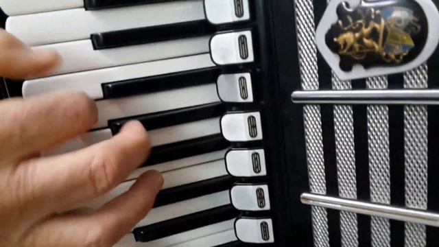 Weltmeister Cantus V 120 bass black perfect (1) смотреть онлайн