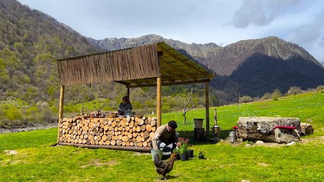Collecting Nettles in the mountains of Azerbaijan and cooking the Dishes of our Ancestors смотреть онлайн