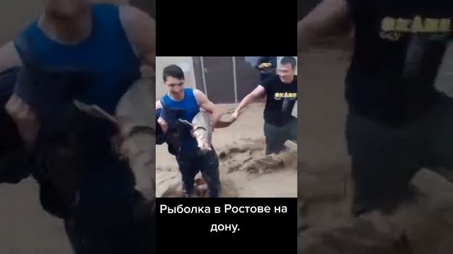 как ловить рыбу в Ростове смотреть онлайн
