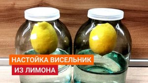 Настойка висельник на лимоне. На каком расстоянии нужно подвешивать лимон? Как же я ошибался