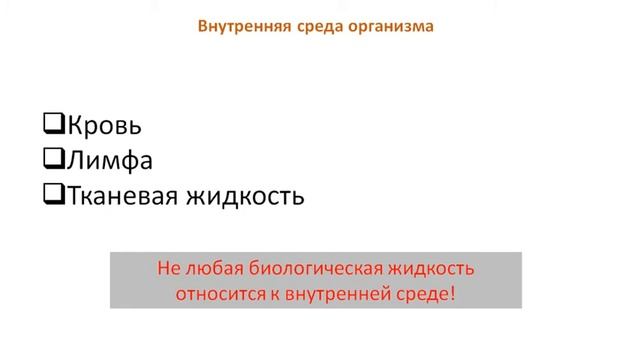 Внутренняя среда организма и гомеостаз смотреть онлайн