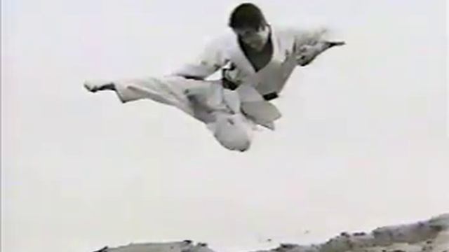 Hatsuo Royama Documentary 2/9 смотреть онлайн