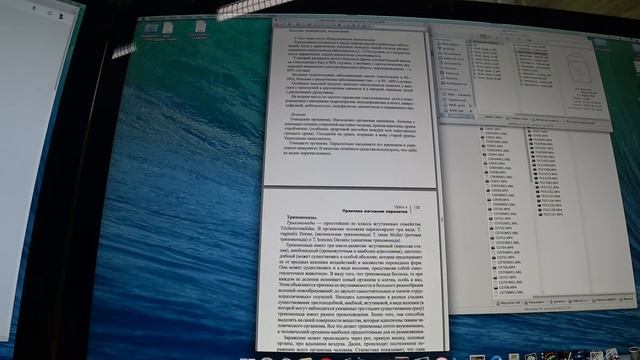 Паразиты человека - лучшее руководство ждет Вас! смотреть онлайн