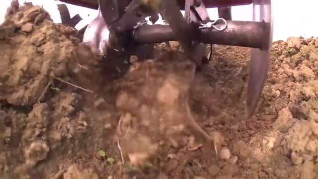 Культиваторы HONDA | Официальный дилер смотреть онлайн