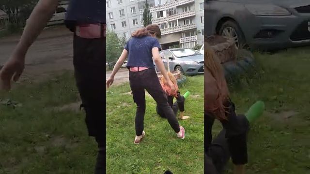 Спаривание бабуинов/1