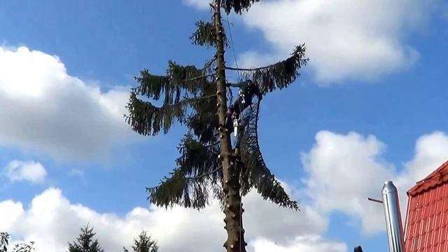 Спилить дерево около дома на даче смотреть онлайн