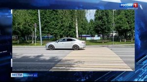 На трассе в Марий Эл сбили лося