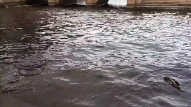 Заячий остров. Санкт-Петербург. смотреть онлайн