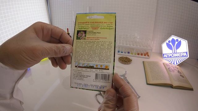 Клеома Королева Роз. Гавриш смотреть онлайн