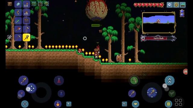 как игре Terraria найти Дорофеев любого босса и мешок? смотреть онлайн