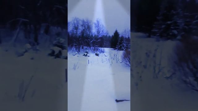 Елочки на даче зимой смотреть онлайн