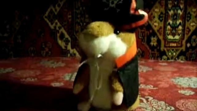 Говорящий хомяк пират смотреть онлайн