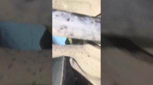 Замена прокладки поддона бмв 320i е90 двигатель n46b20