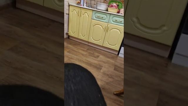 Закупка продуктов (Натуралка) для собаки.