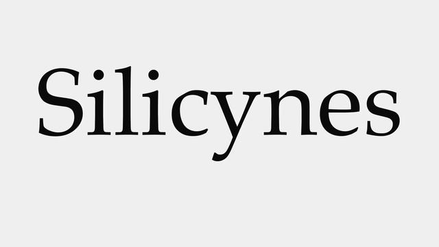 How to Pronounce Silicynes смотреть онлайн
