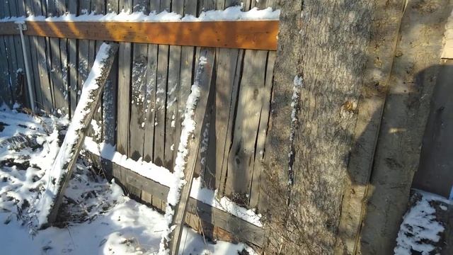 Самый крепкий дешёвый забор из горбыля смотреть онлайн
