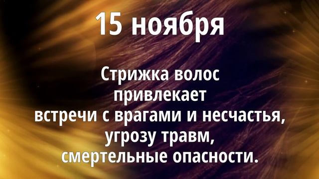 Ноябрь 2020 г. | Стрижка волос и ваше благополучие смотреть онлайн
