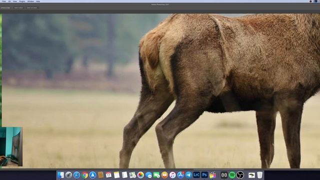 Урок 3 врезание объектов в фотографию | Курс по фотомонтажу 3 урок из 4 смотреть онлайн