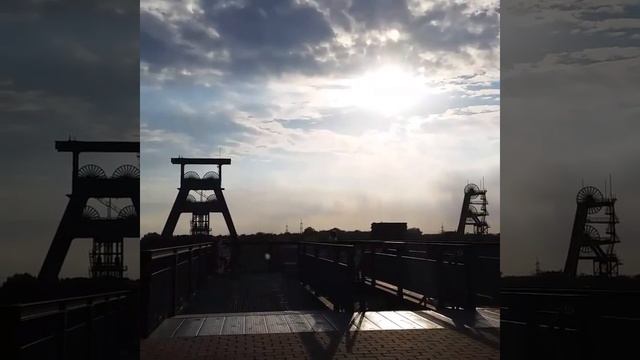 herten смотреть онлайн