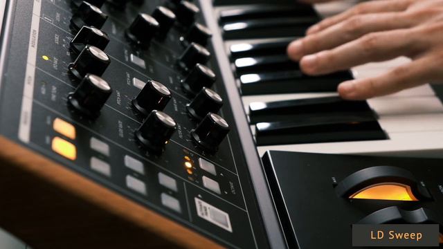 Moog Subsequent 25 & Sub Phatty: 64 Leads & Plucks Patches/Presets смотреть онлайн