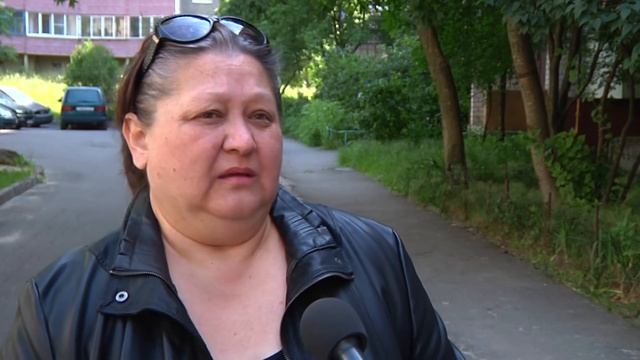 Пропал кот смотреть онлайн