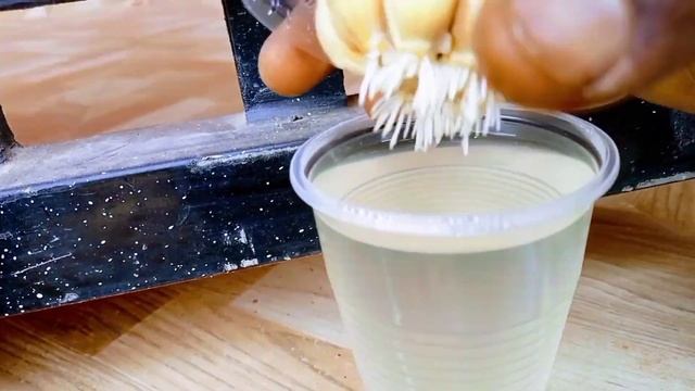 Coca cola vs garlic or pineapple: shocking results from a rooting experiment смотреть онлайн