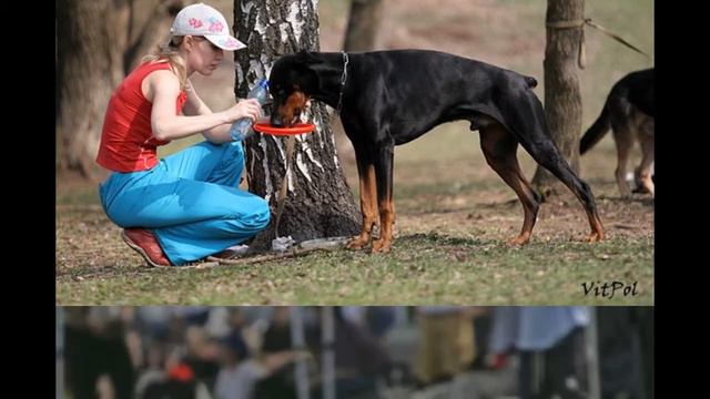 Фризби. смотреть онлайн