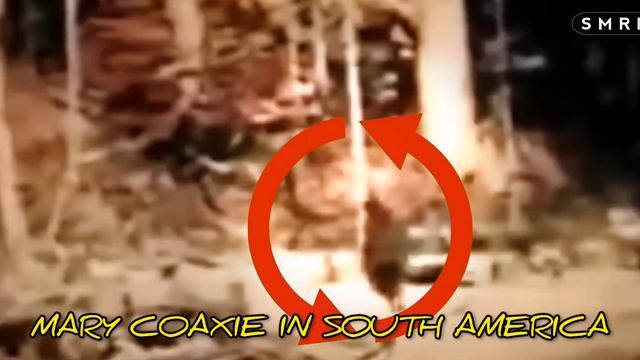 Strange Things Discovered In The Jungle That Will Surprise You! смотреть онлайн