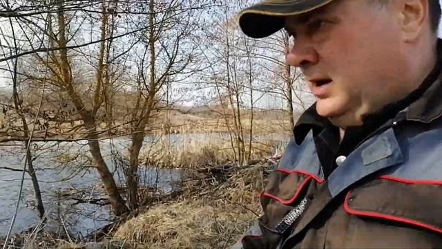 ЖИЗНЬ В ДЕРЕВНЕ//Посетили хатку бобра// смотреть онлайн