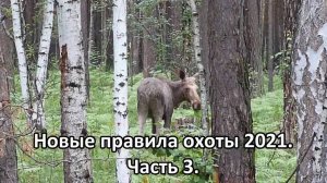 Очень важно! Новые правила охоты  Часть 3. Коллективная охота..mp4