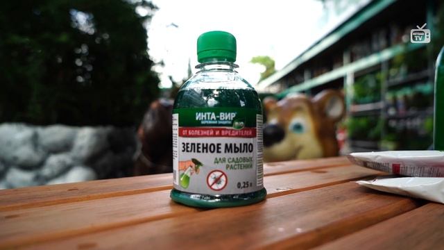 Зелёное мыло от вредителей сада ✔️ смотреть онлайн
