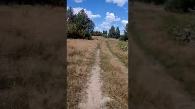 Лето. Глуск. река Птичь 2 смотреть онлайн