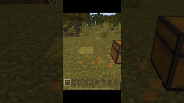 How to place a row of single chests in Minecraft [Minecraft 1.20] #shorts смотреть онлайн