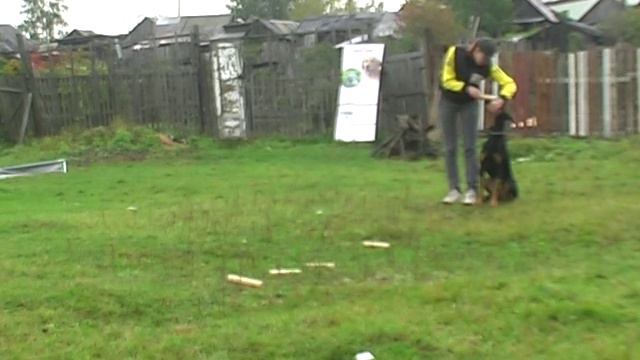 Каспер ЗКС выборка смотреть онлайн