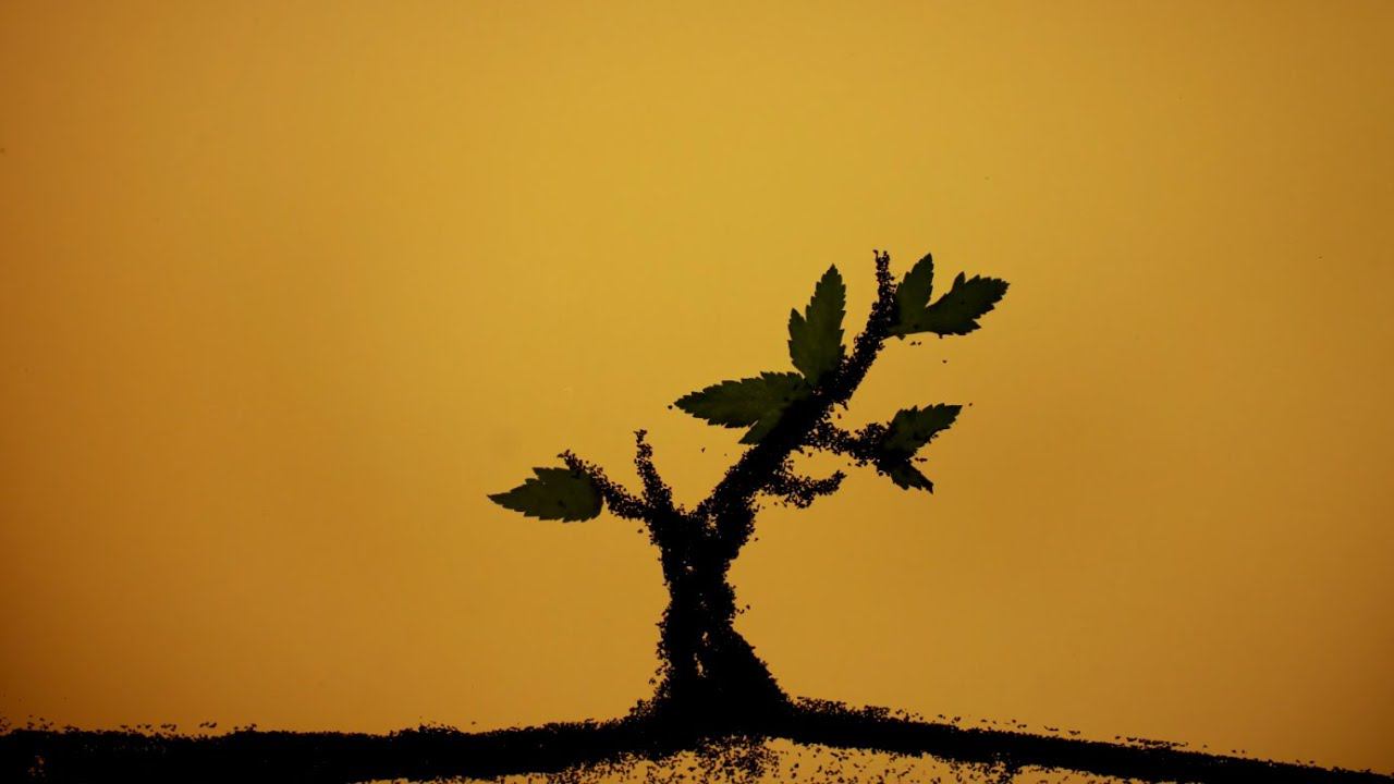 Чайные истории смотреть онлайн